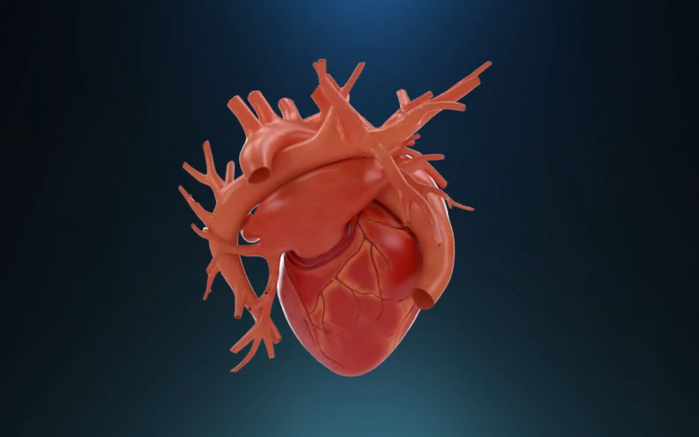 數(shù)坤數(shù)字心三維